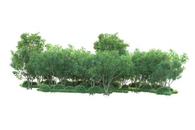 Beyaz arka planda ağaçların olduğu ormanın manzarası