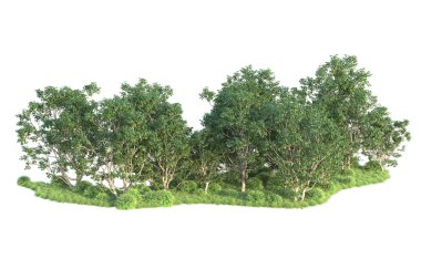 Beyaz arka planda ağaçların olduğu ormanın manzarası