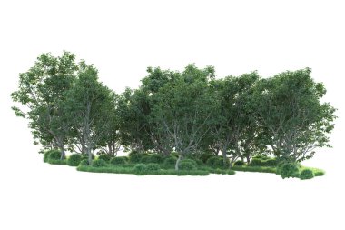 Beyaz arka planda ağaçların olduğu ormanın manzarası