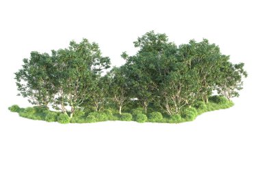 Beyaz arka planda ağaçların olduğu ormanın manzarası