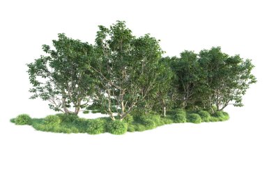 Beyaz arka planda ağaçların olduğu ormanın manzarası