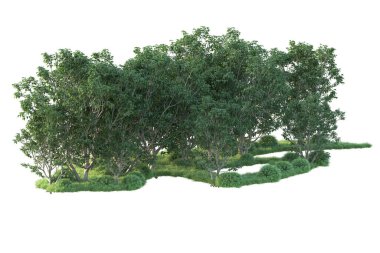 Beyaz arka planda ağaçların olduğu ormanın manzarası