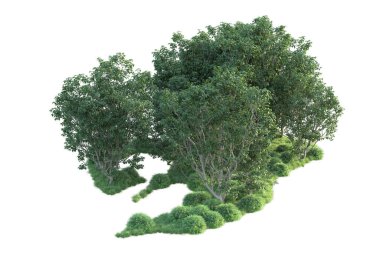 Beyaz arka planda ağaçların olduğu ormanın manzarası