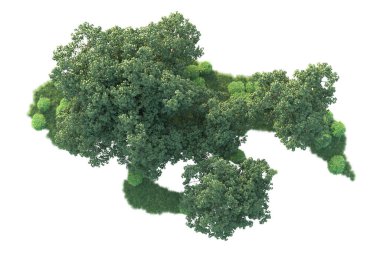 Beyaz arka planda ağaçların olduğu ormanın manzarası