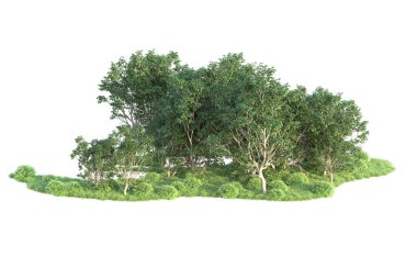 Beyaz arka planda ağaçların olduğu ormanın manzarası