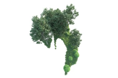 Beyaz arka planda ağaçların olduğu ormanın manzarası