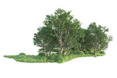 Beyaz arka planda ağaçların olduğu ormanın manzarası