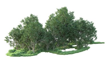 Beyaz arka planda ağaçların olduğu ormanın manzarası