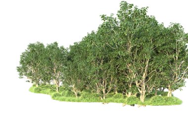 Beyaz arka planda ağaçların olduğu ormanın manzarası