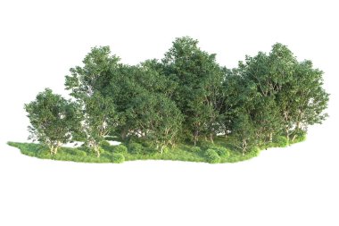 Beyaz arka planda ağaçların olduğu ormanın manzarası