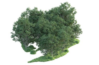 Beyaz arka planda ağaçların olduğu ormanın manzarası