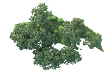 Beyaz arka planda ağaçların olduğu ormanın manzarası