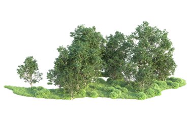 Beyaz arka planda ağaçların olduğu ormanın manzarası