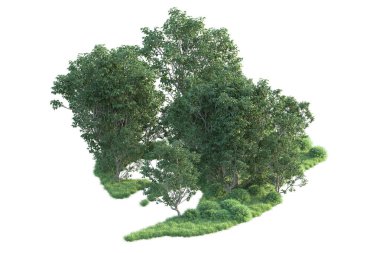 Beyaz arka planda ağaçların olduğu ormanın manzarası