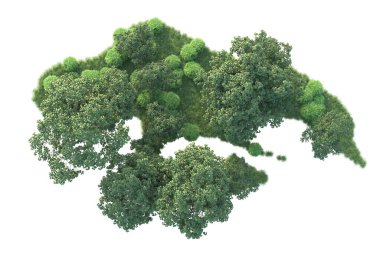 Beyaz arka planda ağaçların olduğu ormanın manzarası