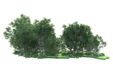 Beyaz arka planda ağaçların olduğu ormanın manzarası