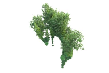 Beyaz arka planda ağaçların olduğu ormanın manzarası