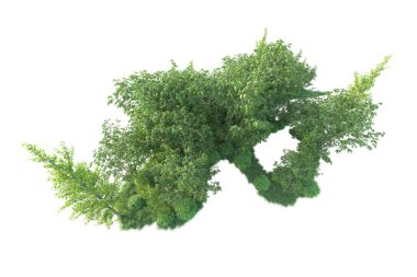 Beyaz arka planda ağaçların olduğu ormanın manzarası