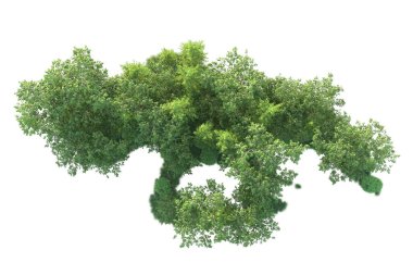 Beyaz arka planda ağaçların olduğu ormanın manzarası