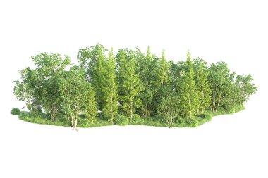 Beyaz arka planda ağaçların olduğu ormanın manzarası