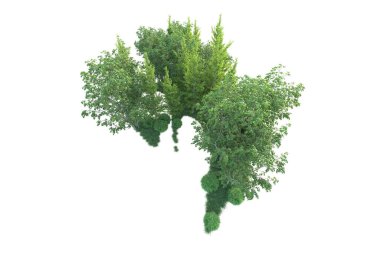 Beyaz arka planda ağaçların olduğu ormanın manzarası