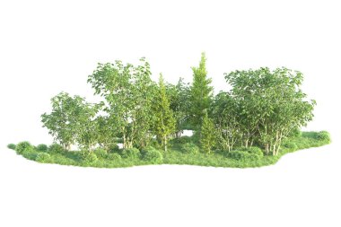 Beyaz arka planda ağaçların olduğu ormanın manzarası