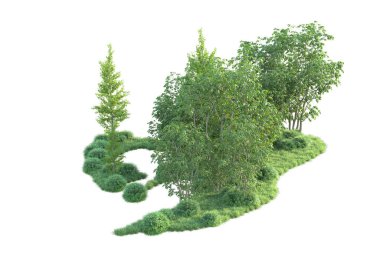 Beyaz arka planda ağaçların olduğu ormanın manzarası