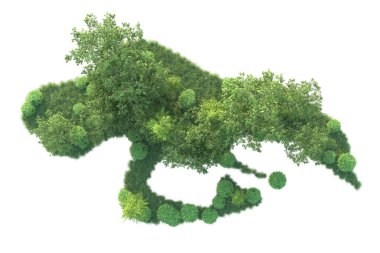 Beyaz arka planda ağaçların olduğu ormanın manzarası