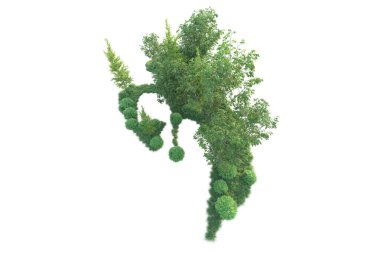 Beyaz arka planda ağaçların olduğu ormanın manzarası