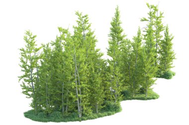 Beyaz arka planda ağaçların olduğu ormanın manzarası