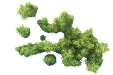 Beyaz arka planda ağaçların olduğu ormanın manzarası