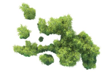 Beyaz arka planda ağaçların olduğu ormanın manzarası