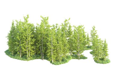 Beyaz arka planda ağaçların olduğu ormanın manzarası