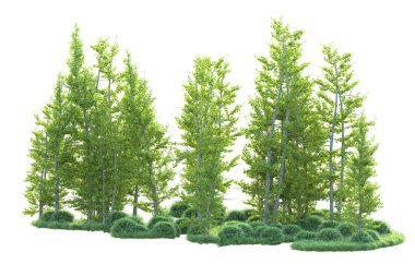 Orman ıssız. Afişler, posterler ya da fotoğraf manipülasyonları için kullanışlı bir görüntü. 3d oluşturma.