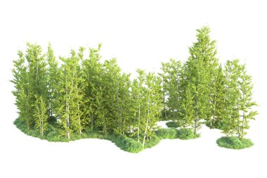 Orman ıssız. Afişler, posterler ya da fotoğraf manipülasyonları için kullanışlı bir görüntü. 3d oluşturma.