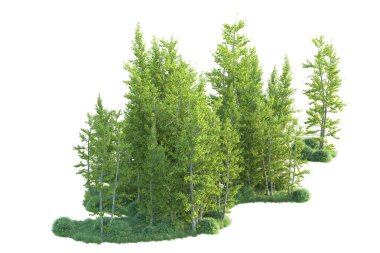 Orman ıssız. Afişler, posterler ya da fotoğraf manipülasyonları için kullanışlı bir görüntü. 3d oluşturma.