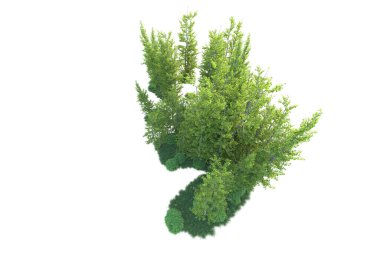 Orman ıssız. Afişler, posterler ya da fotoğraf manipülasyonları için kullanışlı bir görüntü. 3d oluşturma.