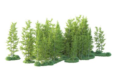 Orman ıssız. Afişler, posterler ya da fotoğraf manipülasyonları için kullanışlı bir görüntü. 3d oluşturma.