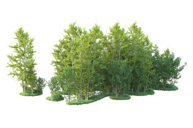 Orman ıssız. Afişler, posterler ya da fotoğraf manipülasyonları için kullanışlı bir görüntü. 3d oluşturma.