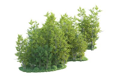 Orman ıssız. Afişler, posterler ya da fotoğraf manipülasyonları için kullanışlı bir görüntü. 3d oluşturma.