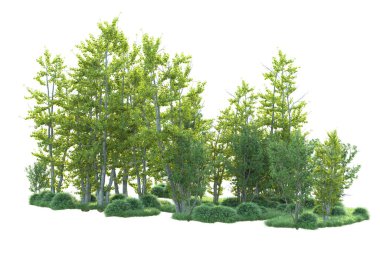 Orman ıssız. Afişler, posterler ya da fotoğraf manipülasyonları için kullanışlı bir görüntü. 3d oluşturma.