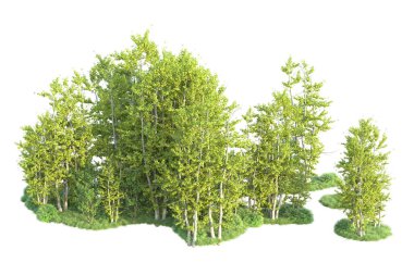 Orman ıssız. Afişler, posterler ya da fotoğraf manipülasyonları için kullanışlı bir görüntü. 3d oluşturma.