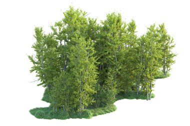 Orman ıssız. Afişler, posterler ya da fotoğraf manipülasyonları için kullanışlı bir görüntü. 3d oluşturma.