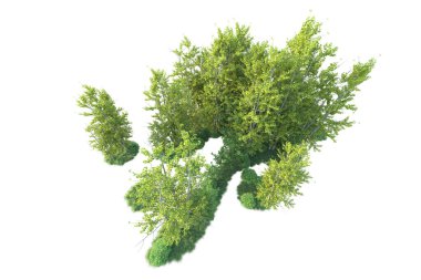 Orman ıssız. Afişler, posterler ya da fotoğraf manipülasyonları için kullanışlı bir görüntü. 3d oluşturma.