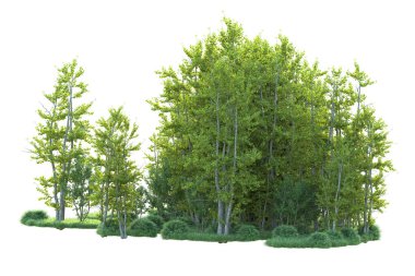 Orman ıssız. Afişler, posterler ya da fotoğraf manipülasyonları için kullanışlı bir görüntü. 3d oluşturma.