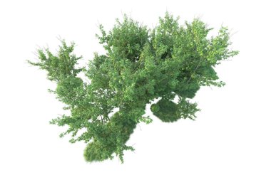 Orman ıssız. Afişler, posterler ya da fotoğraf manipülasyonları için kullanışlı bir görüntü. 3d oluşturma.