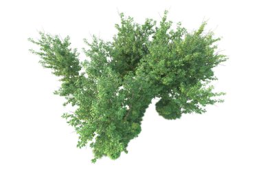 Orman ıssız. Afişler, posterler ya da fotoğraf manipülasyonları için kullanışlı bir görüntü. 3d oluşturma.