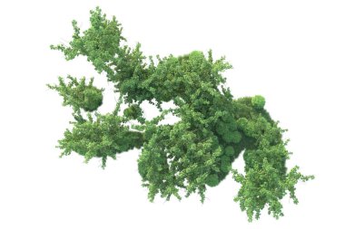 Orman ıssız. Afişler, posterler ya da fotoğraf manipülasyonları için kullanışlı bir görüntü. 3d oluşturma.