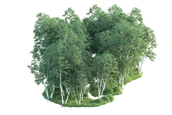 Beyaz arka planda ağaçların olduğu ormanın manzarası