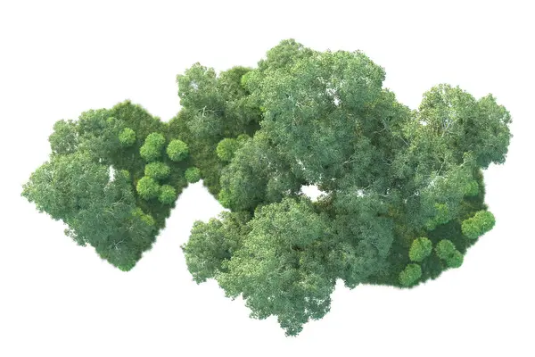 Beyaz arka planda ağaçların olduğu ormanın manzarası